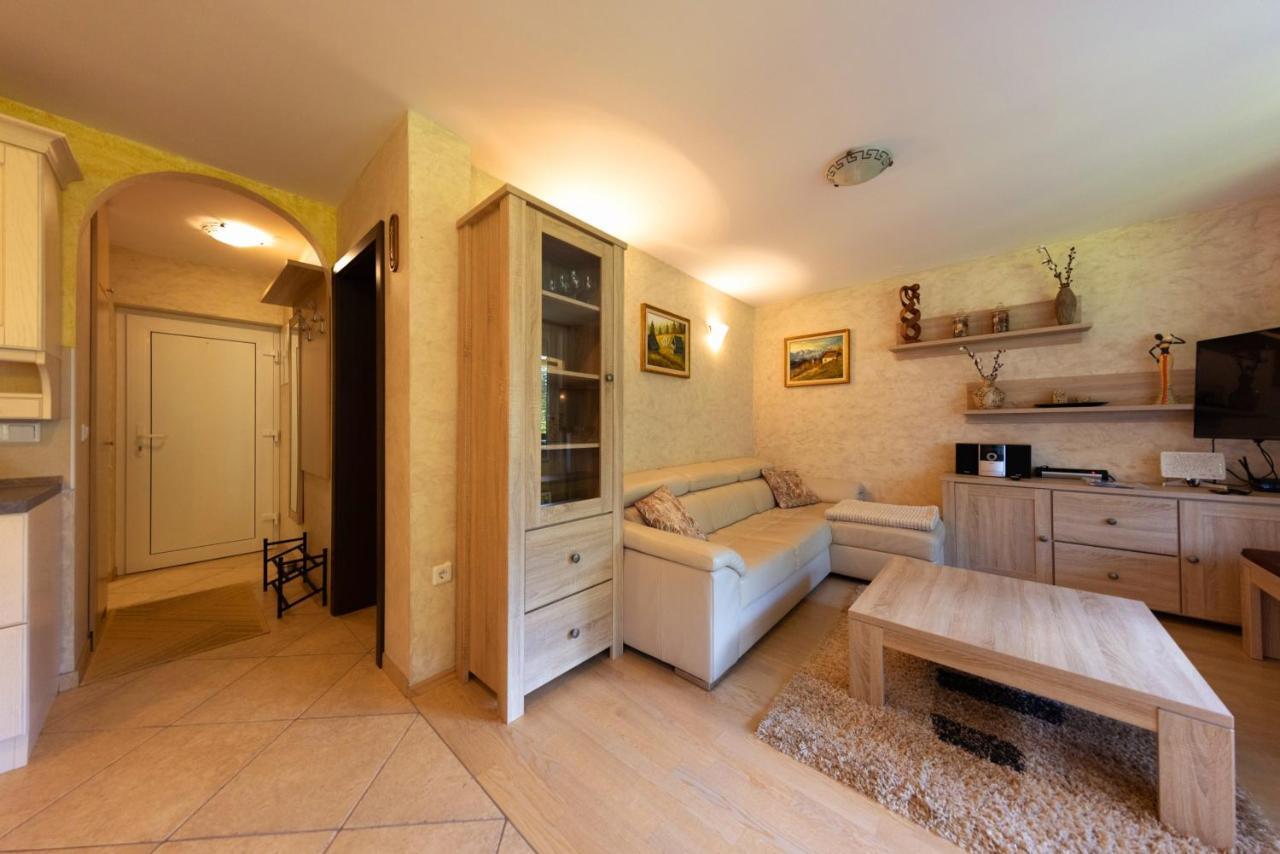 Apartma Krvavec - Cosy Mountain Retreat 서클리예나고렌스켐 외부 사진